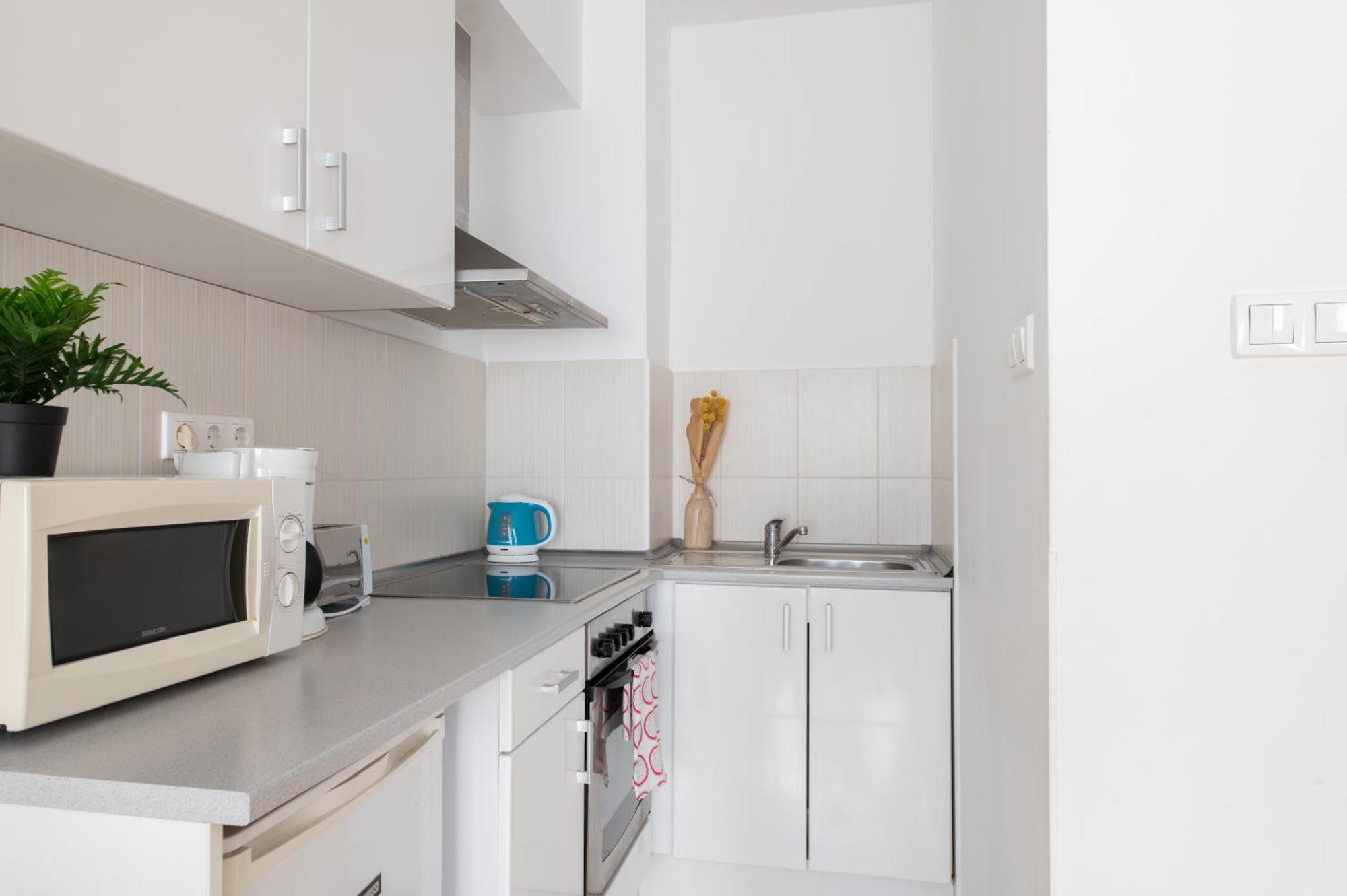 Apartment Mono With Free Parking *